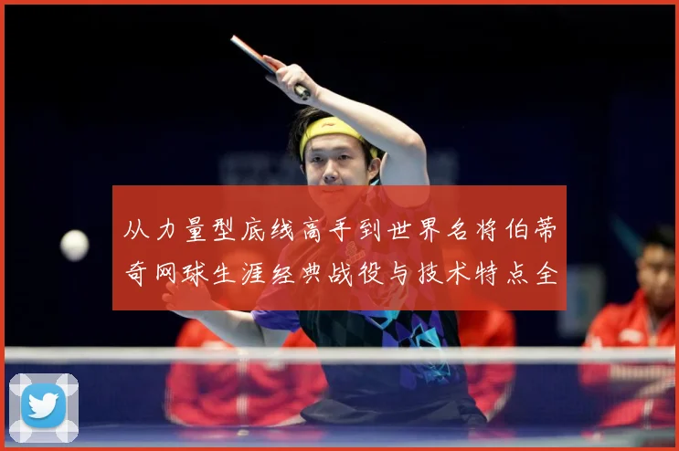 从力量型底线高手到世界名将伯蒂奇网球生涯经典战役与技术特点全解析