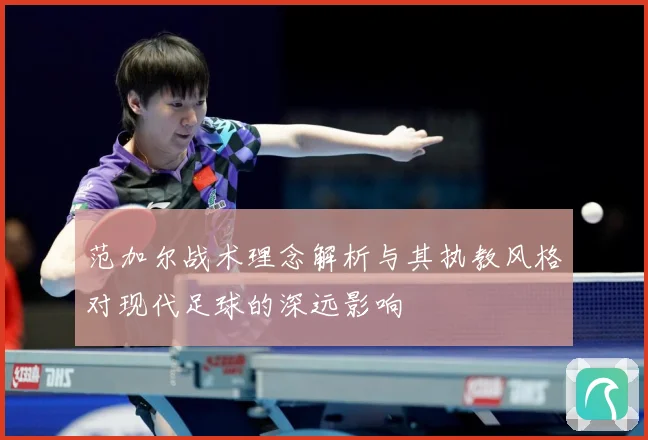 范加尔战术理念解析与其执教风格对现代足球的深远影响